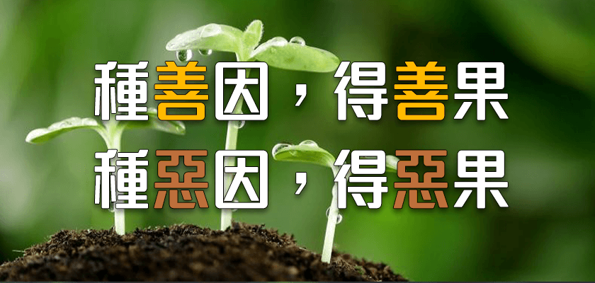 善果示意840400